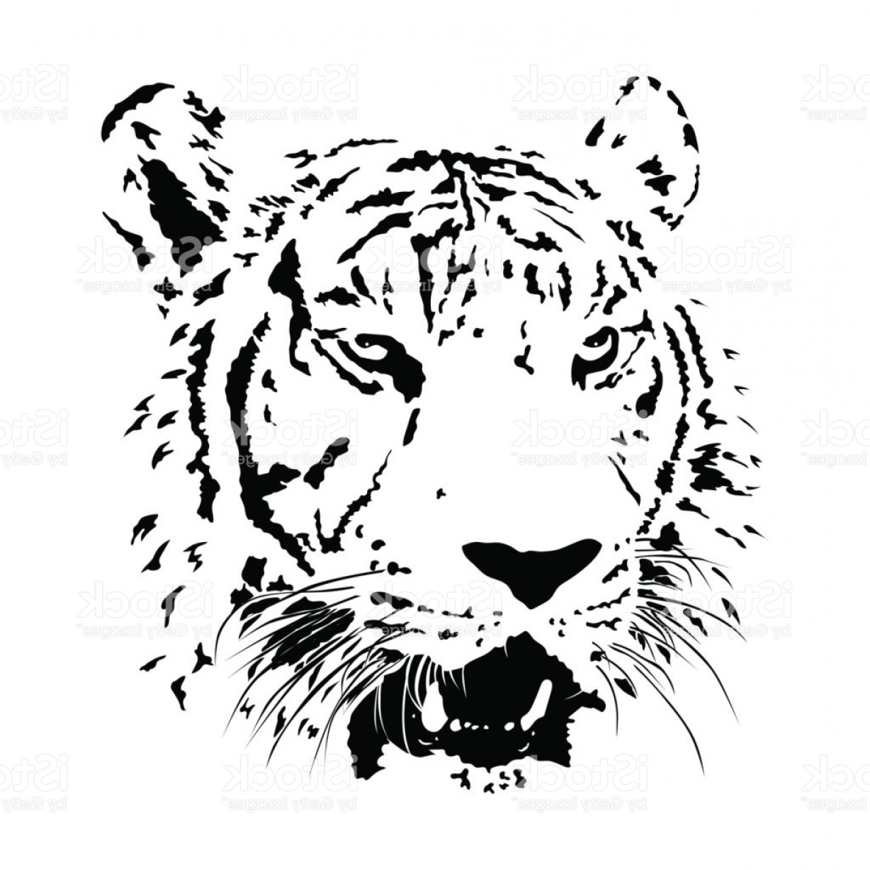 1228x1228 Black And White Bengal Tiger Isolated Animal Face Vector