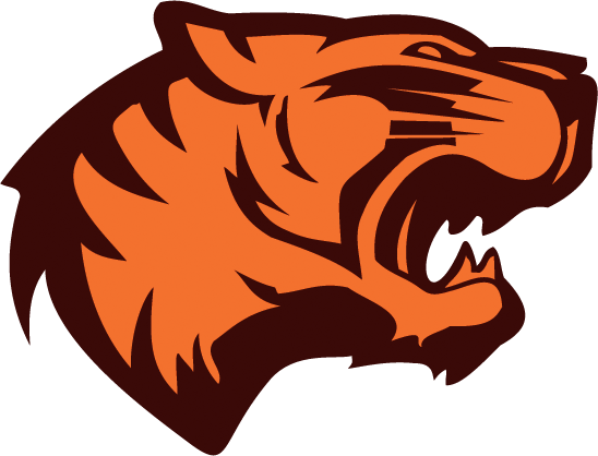 548x418 Vector Tiger Face On Behance