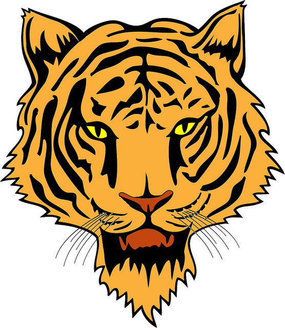 556x640 Hd Animals Tiger Face Vector
