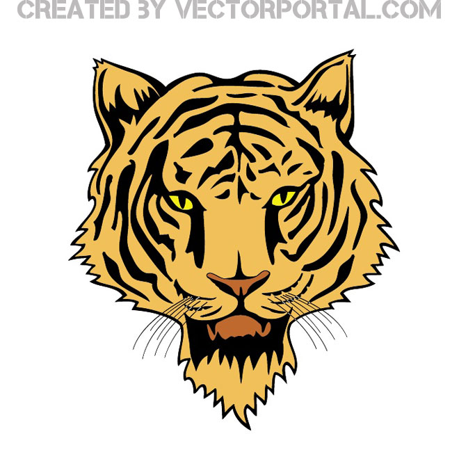 660x660 Tiger Head Vector 3