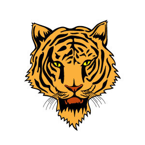 300x300 Tiger Head Vector