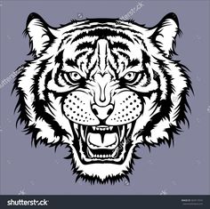 236x235 Angry Tiger Head. Vector Illustration. Shutterstock