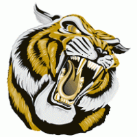 200x200 Tiger Brands Of The Download Vector Logos And Logotypes