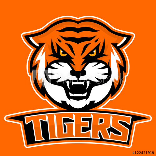 Tiger Mascot Vector at GetDrawings | Free download