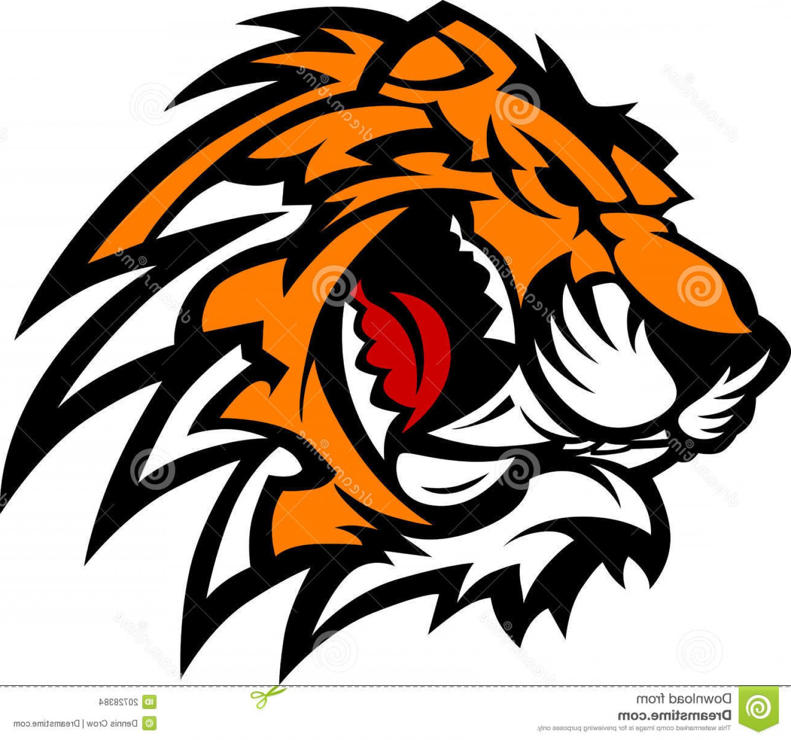 1560x1459 Stock Images Tiger Mascot Vector Graphic Image Shopatcloth