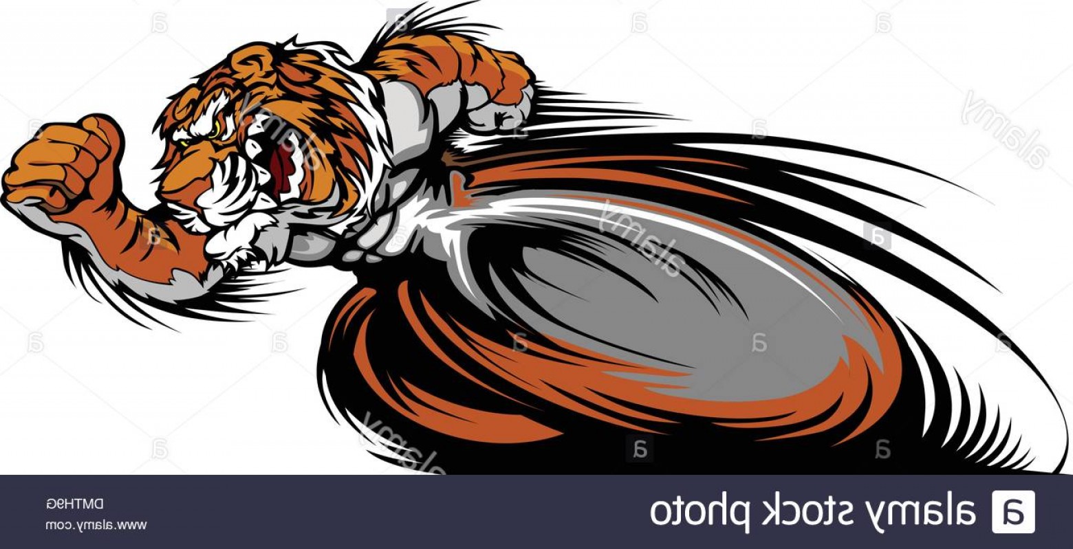 1560x799 Stock Photo Racing Tiger Mascot Graphic Vector Image Geekchicpro