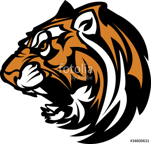 500x477 Tiger Mascot Graphic Stock Image And Royalty Free Vector Files On