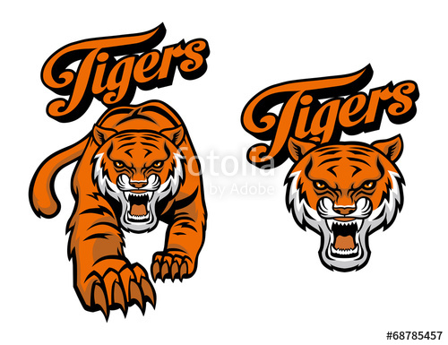 500x385 Tiger Mascot Stock Image And Royalty Free Vector Files On Fotolia