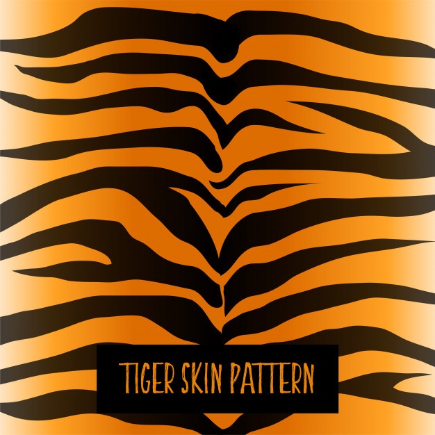 626x626 Tiger Stripes Vectors, Photos And Psd Files Free Download