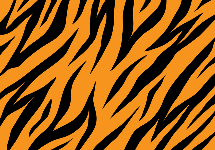 Tiger Pattern Vector at GetDrawings | Free download