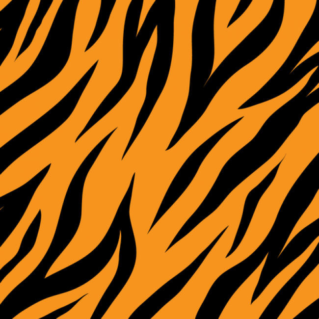 Tiger Pattern Vector at GetDrawings | Free download