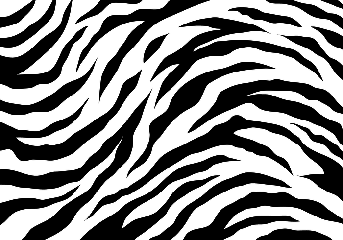700x490 White Tiger Stripes