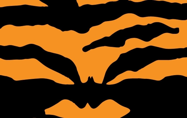 600x380 Download Vector