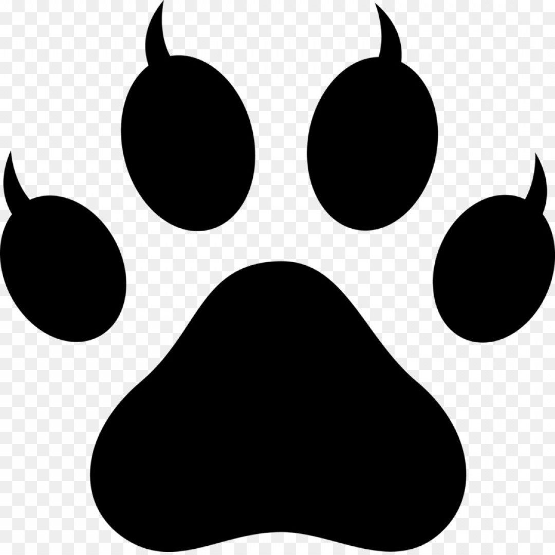 1080x1080 Png Cat Dog Tiger Paw Clip Art Paw Sohadacouri