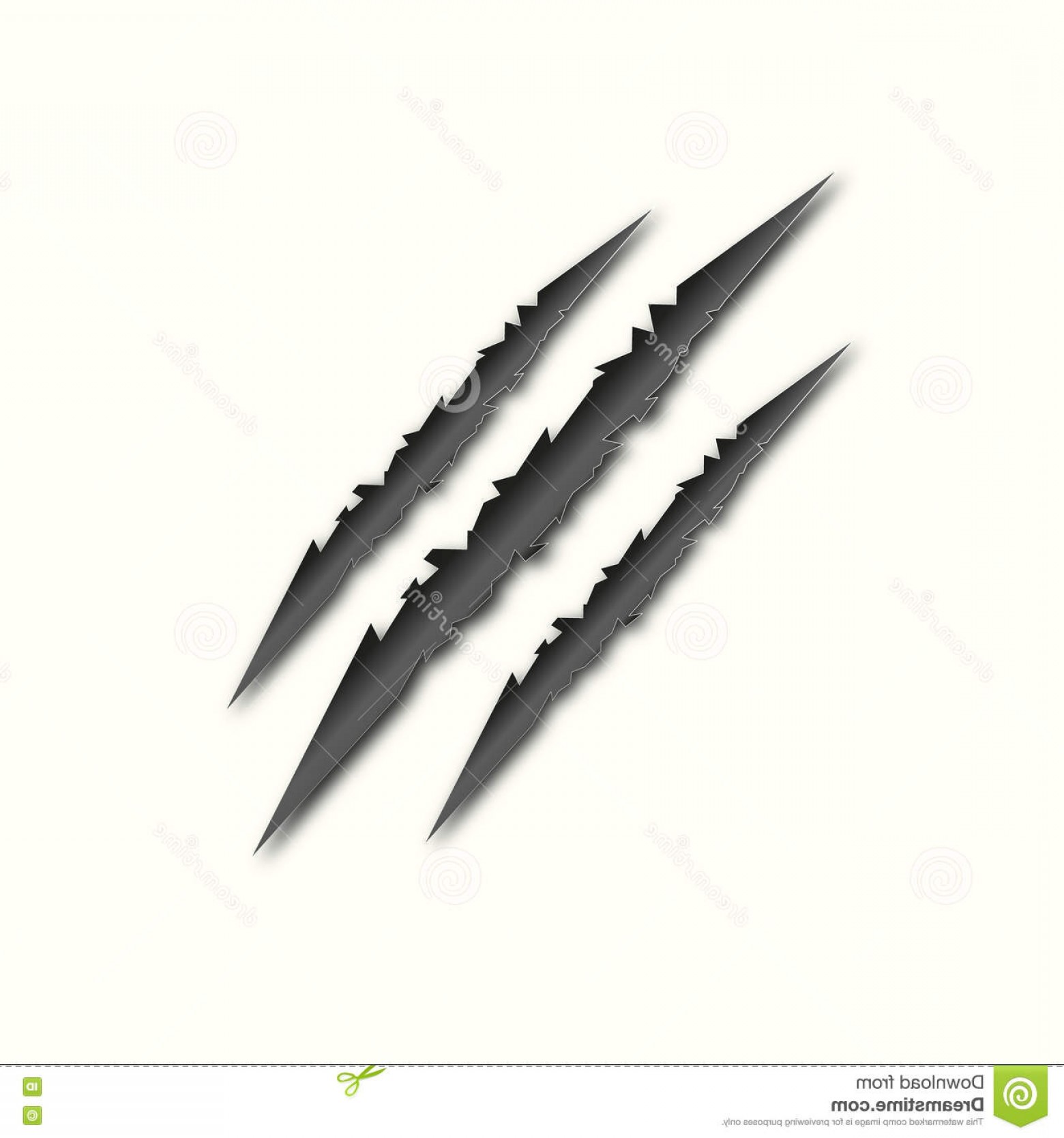 1560x1668 Stock Illustration Traces Animal Claws Wild Nature Tiger Paw