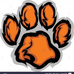 300x300 Stock Photo Tiger Paw Mascot Vector Illustration Orangiausa
