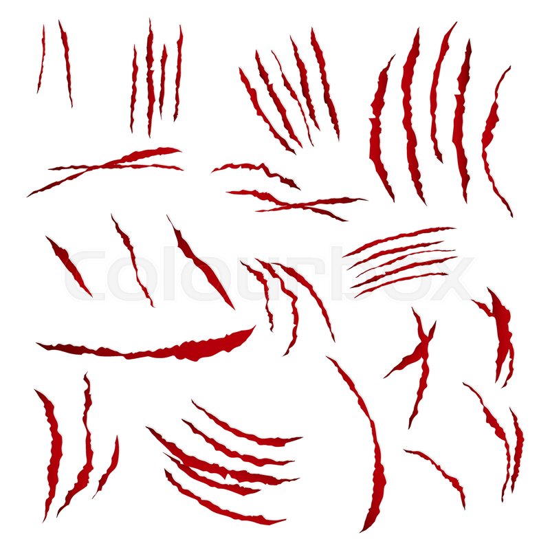 800x800 Claws Scratches Vector. Isolated On White Background. Bear Or