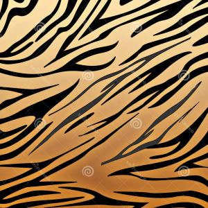 300x300 Perspective Tiger Print Pictures Stock Vector Illustration Of