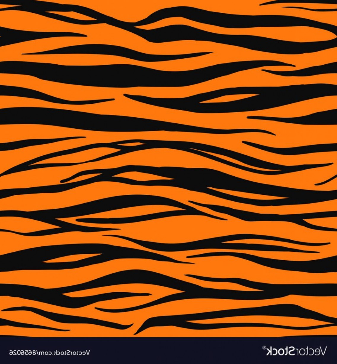 Tiger Print Vector at GetDrawings | Free download