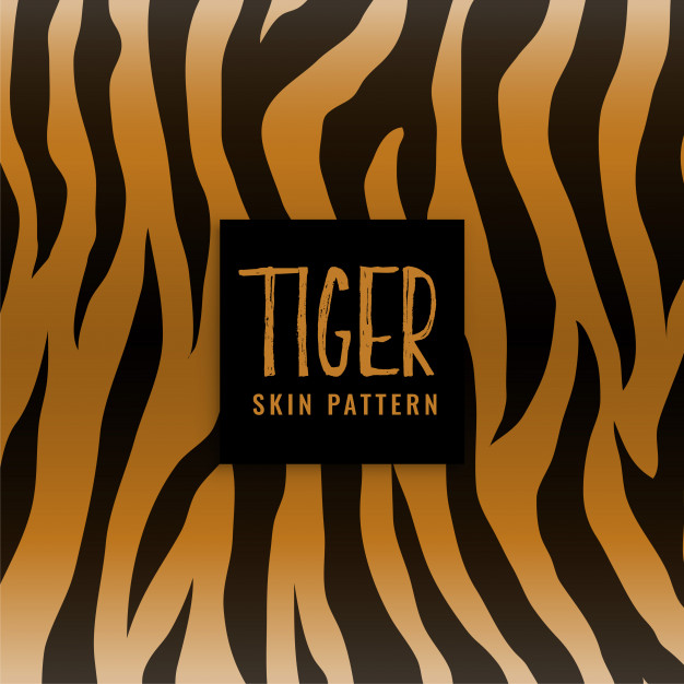 626x626 Tiger Print Vectors, Photos And Psd Files Free Download