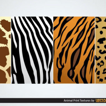340x340 Leopard Print Free Vector Graphics 123freevectors