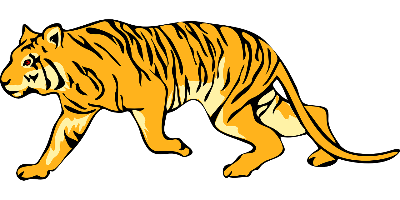 1280x640 Tiger,stripes,animal,tail,mammal