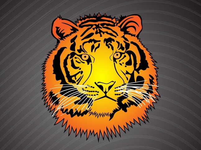 647x483 Tiger Stripes Vector Vectors, Photos And Psd Files Free Download