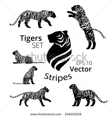 450x470 Tiger Stripes Set Vector, Eps 10, Silhouettes Zakonomzapreshcheno
