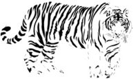 193x115 Wild Tiger Stripes In A Seamless Pattern Stock Vectors