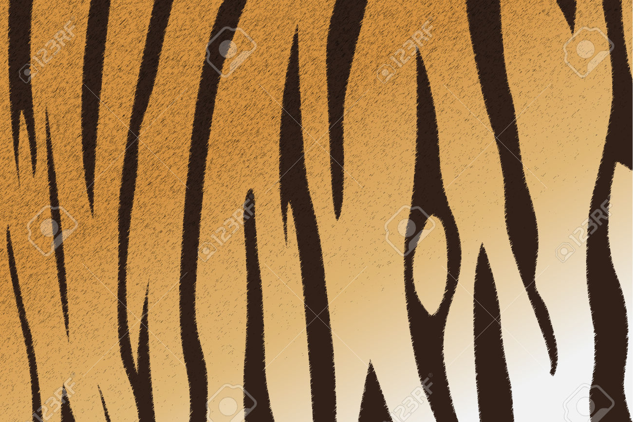 1300x867 Bengal Clipart Tiger Stripes