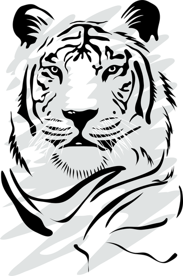 378x570 Drawn Tiger Vector