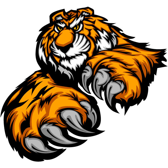546x547 Set Of Tiger Vector Picture Art 19 Free Download