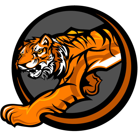 549x546 Set Of Tiger Vector Picture Art 22 Free Download