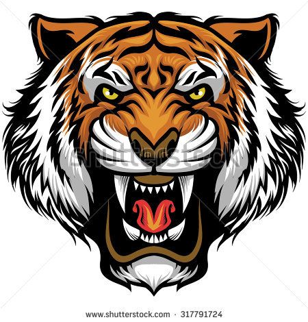 450x470 Tiger Stock Photos Royalty Free Images Amp Vectors