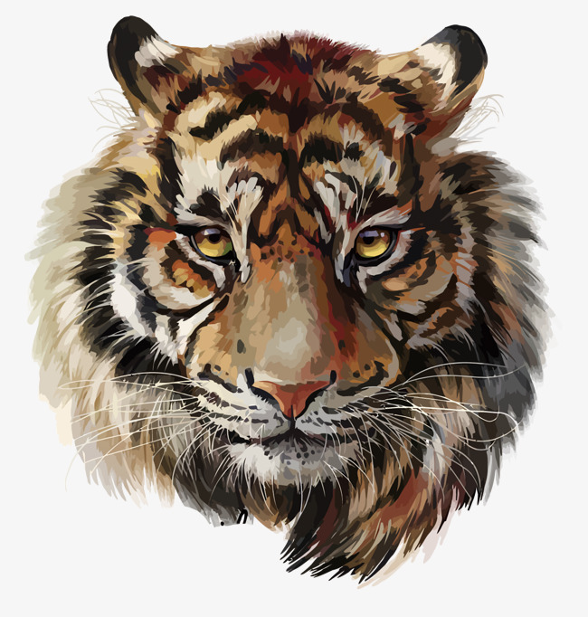 650x682 Tiger Vectors, 1,094 Graphic Resources For Free Download