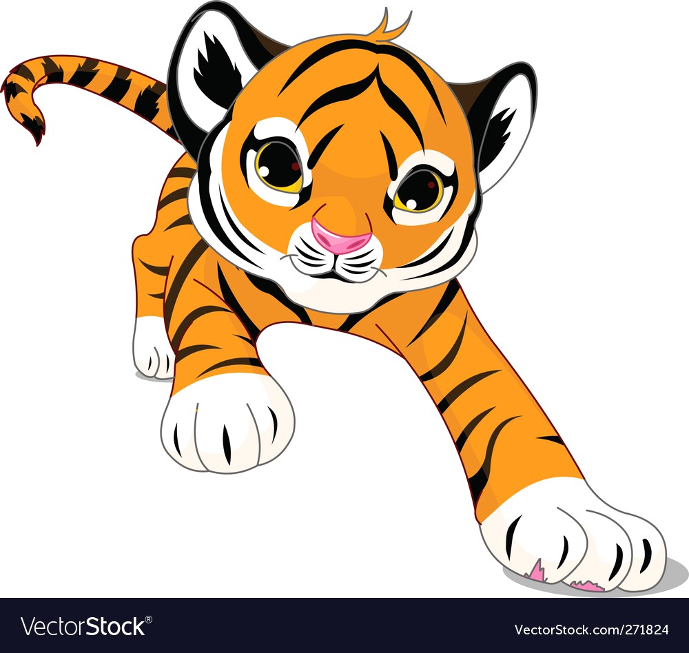 1000x948 Cartoon Baby Tiger Vector 271824 16