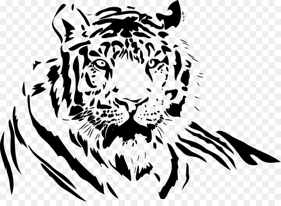 900x660 Download White Tiger Drawing Clip Art Tiger Vector