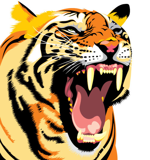 502x534 Set Of Tiger Vector Picture Art 28 Free Download
