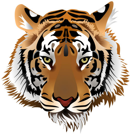 506x520 Set Of Tiger Vector Picture Art Free Vector In Encapsulated