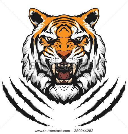 450x470 Tiger Face Stock Vectors Amp Vector Clip Art Shutterstock