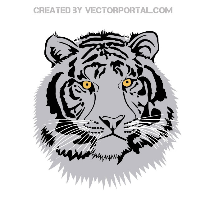 660x660 Tiger Head Vector Illustration 123freevectors