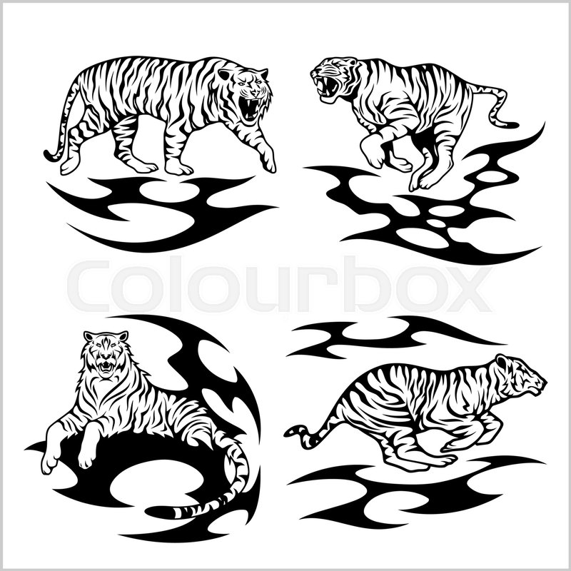 800x800 Tribal Tigers