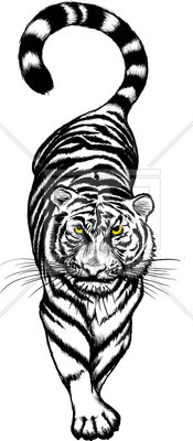 175x400 Slinking Tiger Vector Image Vector Artwork Of Plants And Animals