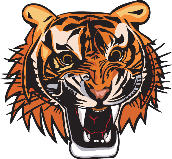 595x551 3 Tiger Head Vector Free Vector 4vector