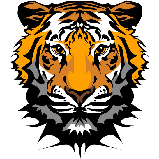 546x548 Set Of Tiger Vector Picture Art 20 Free Download
