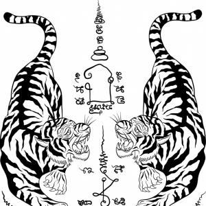 300x300 Sketch Of White Tiger Vector Illustration Bdvgppusu Jgotj Lazttweet