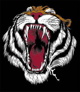 319x368 Tiger Vector Cdr File Png Images, Backgrounds And Vectors For Free