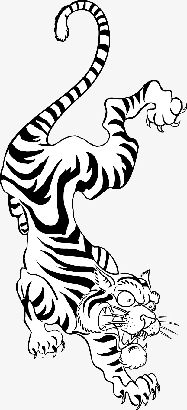 619x1355 Tiger Vector Diagram, Tiger Vector, Vector, Design Png And Vector