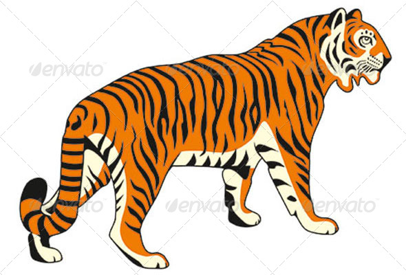 590x400 Tiger Vector Image By Eexoos Graphicriver