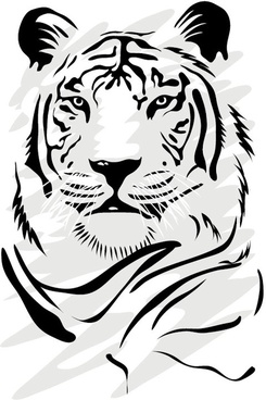 245x368 Tiger Cdr Free Vector Download (1,941 Free Vector) For Commercial